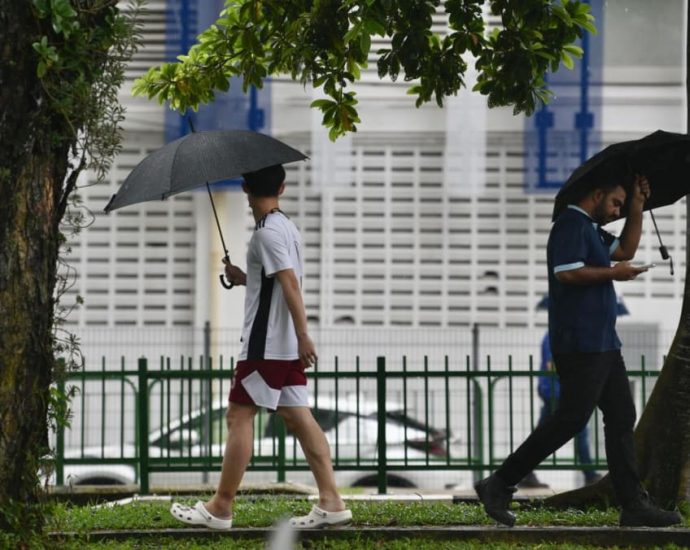 Afternoon thundery showers expected for rest of March as monsoon conditions persist: Met Service