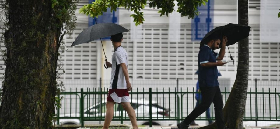 Afternoon thundery showers expected for rest of March as monsoon conditions persist: Met Service