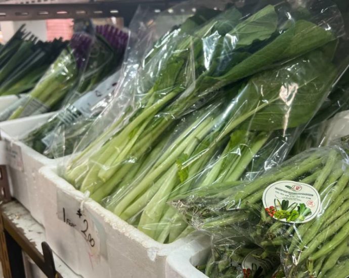 As Johor floods push up prices of Malaysia produce, Singapore vegetable sellers turn to other sources