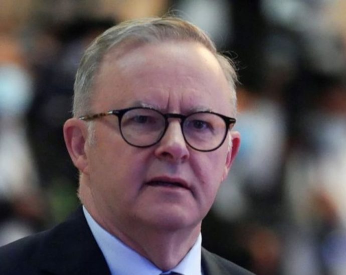 Australia to diversify trade, foreign investment says PM Albanese ahead of India visit