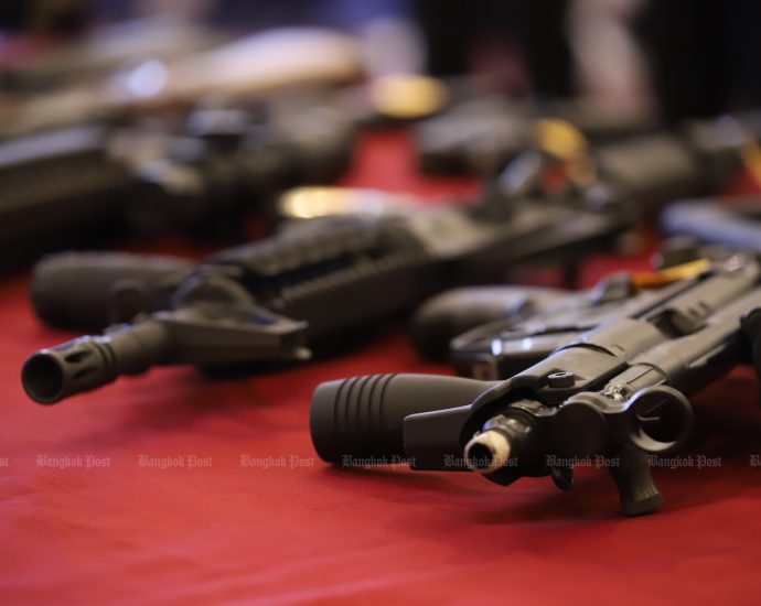 Cabinet approves gun amnesty