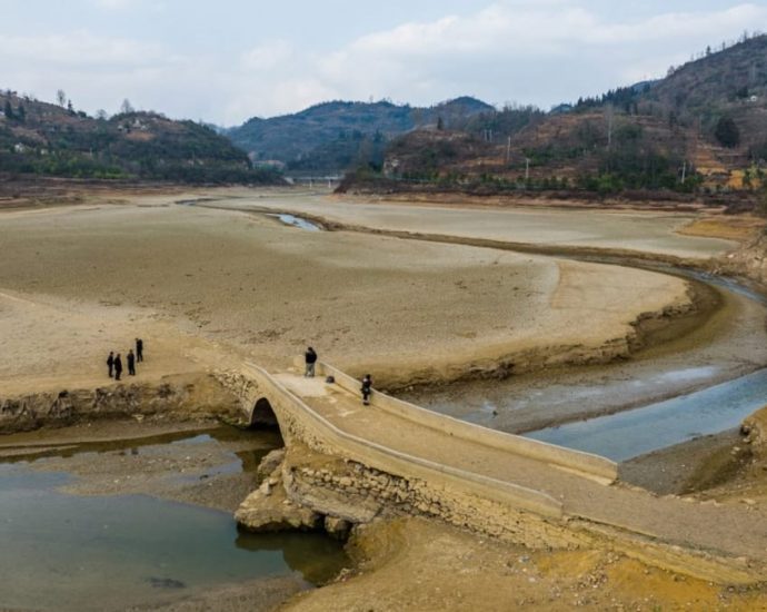 Chinese cities see temperatures hit record high for early March