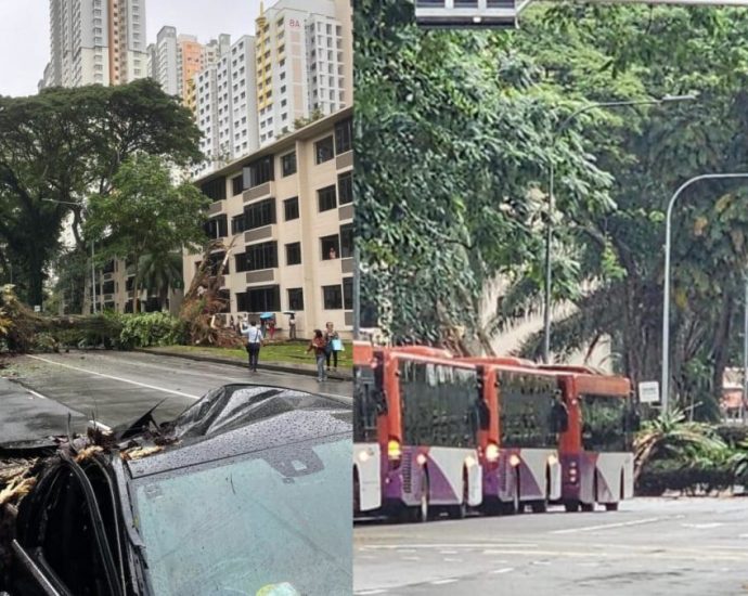 Fallen tree at Tiong Bahru Road snarls traffic, crushes car and damages sheltered walkway