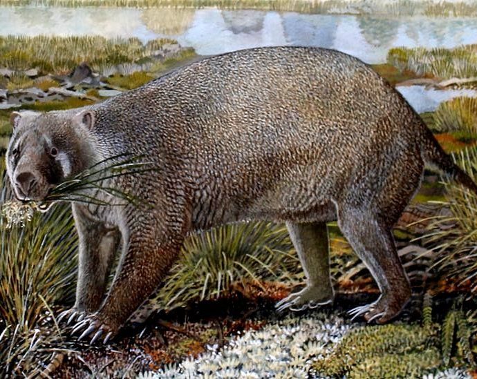 Fossil hunters uncover ancient Australian wombat