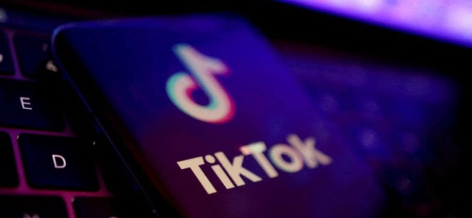 Japan lawmakers eye ban on TikTok, others if used improperly