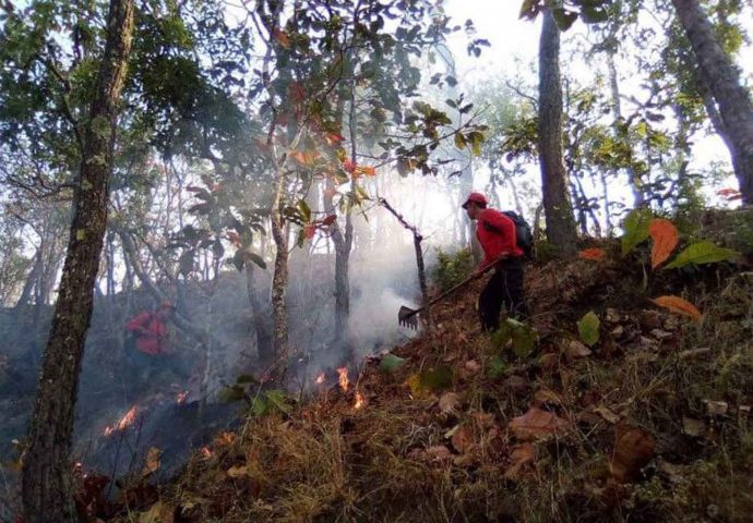 National Environment Board bans burning across North