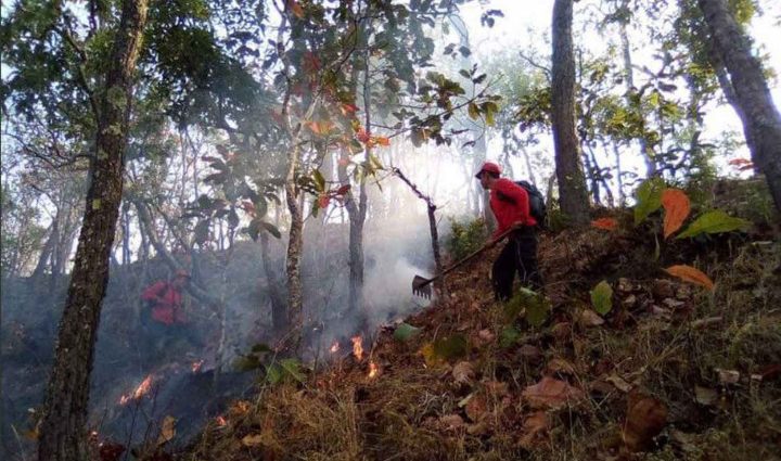 National Environment Board bans burning across North