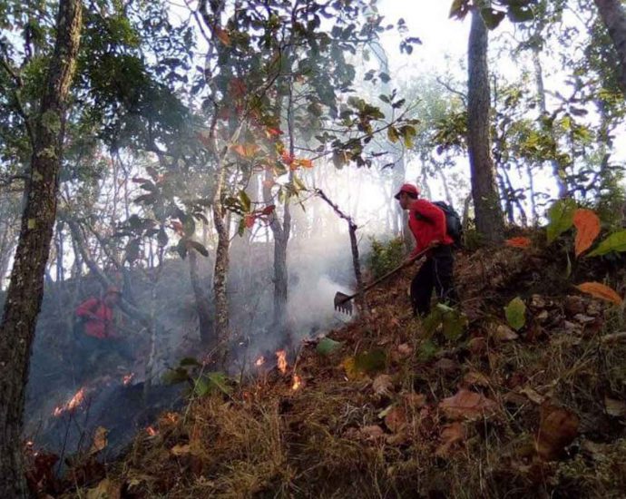 NEB bans burning across North