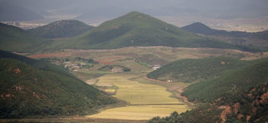 North Korea executes people for South Korean videos, drugs: Report