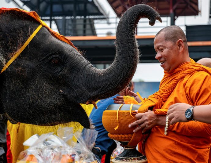 Pattaya honours elephants as part of Thai heritage