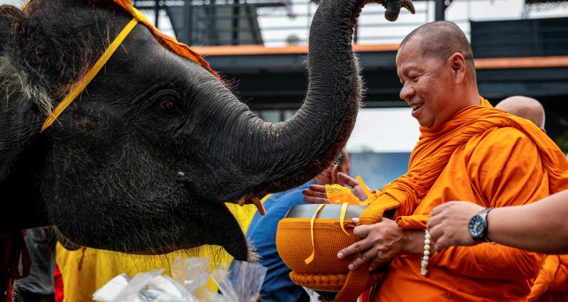 Pattaya honours elephants as part of Thai heritage