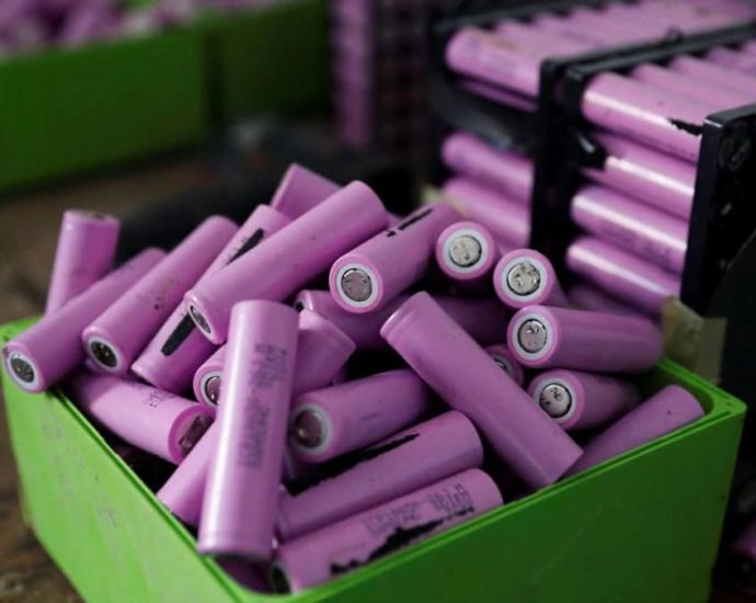 Pilot recycling plant uses fruit peels to break down metal waste in lithium batteries