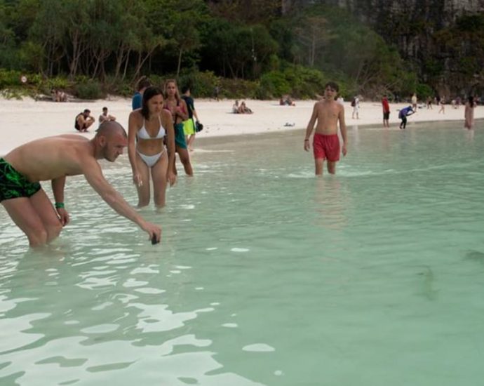 Sharks, tourists jostle for space around Thai destination island