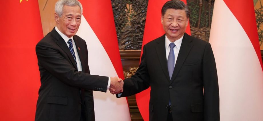 Singapore, China elevate bilateral ties following PM Lee meeting with Xi Jinping