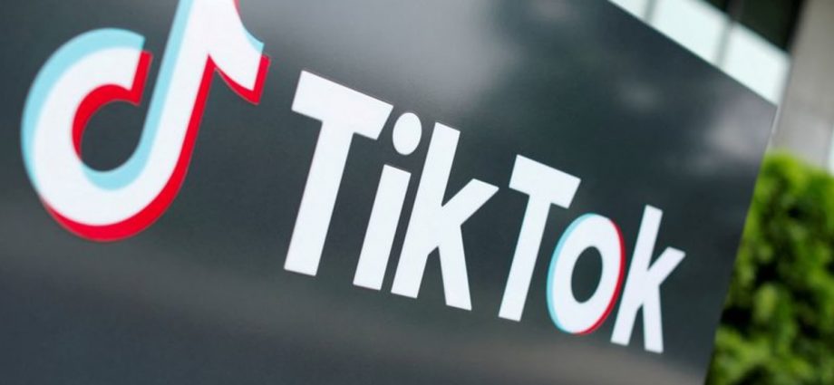 Singapore government officers can only use TikTok on issued devices on a 'need-to basis': Smart Nation