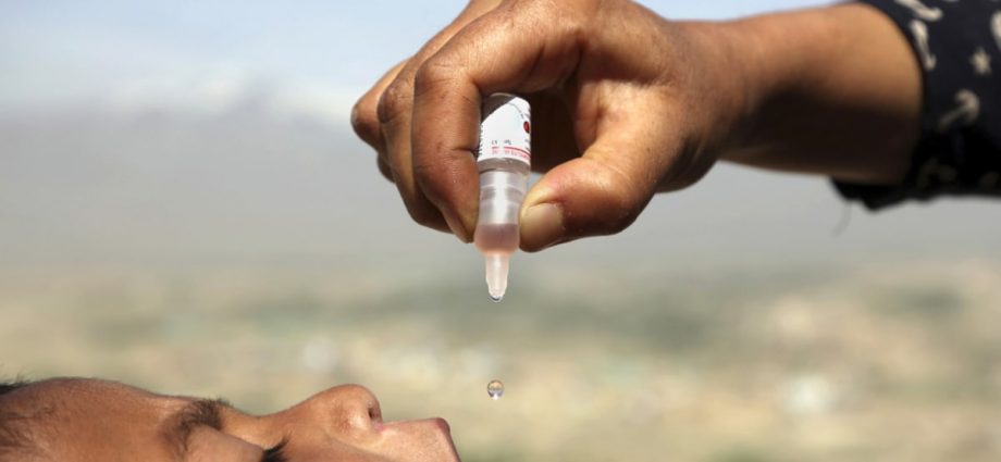 Taliban health ministry launches annual polio vaccination drive