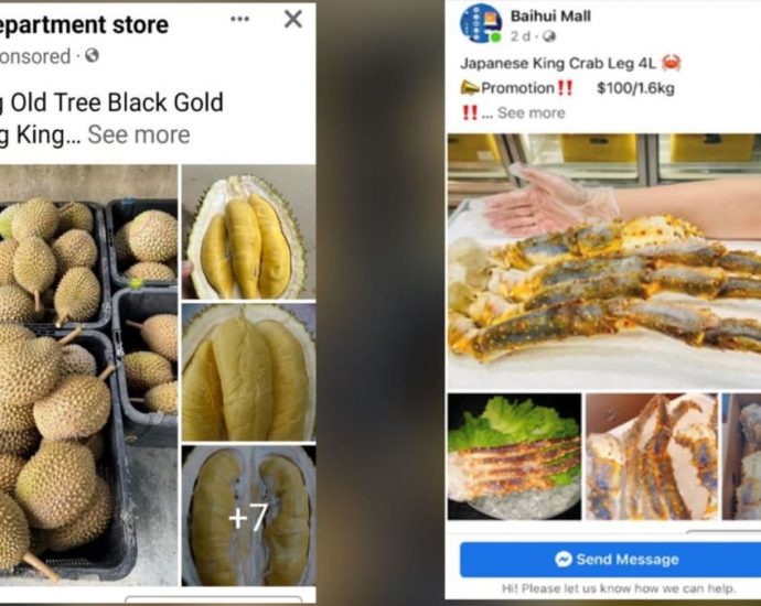 Victims scammed of S,000 trying to buy durian, wagyu beef from online platforms