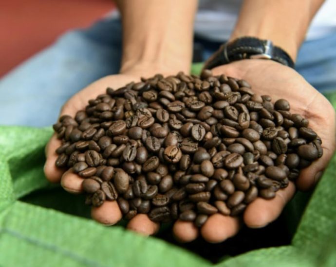 Vietnam’s robusta: The go-to coffee bean in a warmer world?