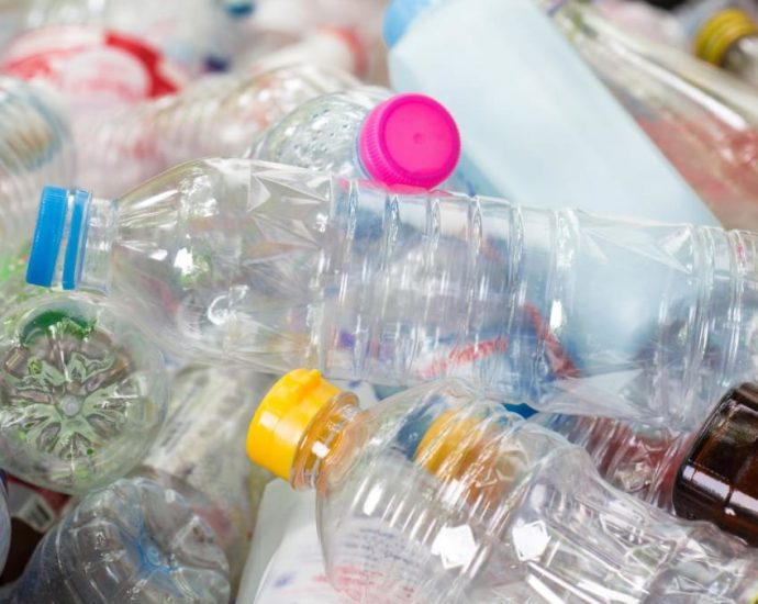 What you need to know about the beverage container return scheme