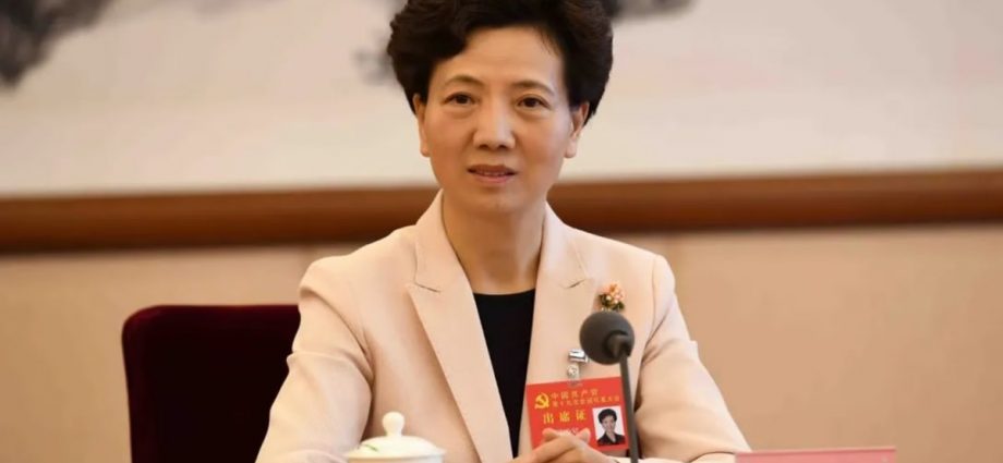 Who is state councillor Shen Yiqin, the only woman at the top of China politics?