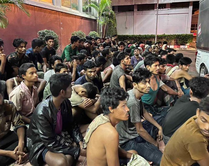 96 Rohingya arrested in plantation