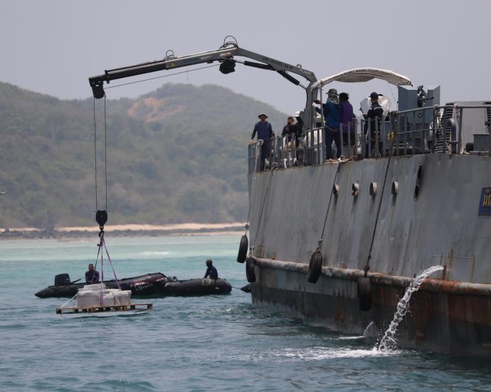 Artificial  reefs boost  restoration efforts