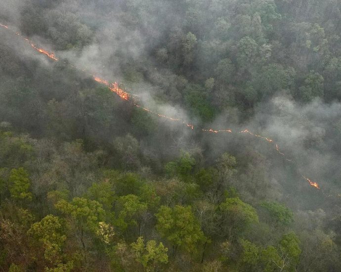 Chiang Mai tourism hit by smog