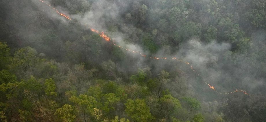 Chiang Mai tourism hit by smog