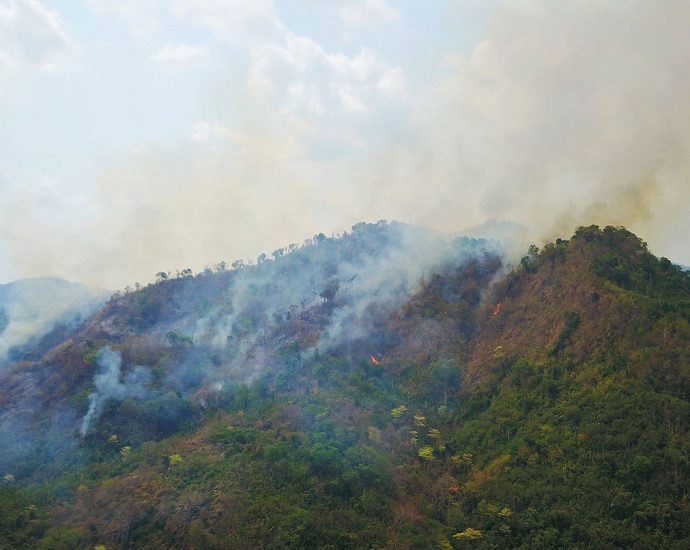 Choppers rush to put out Isan wildfire