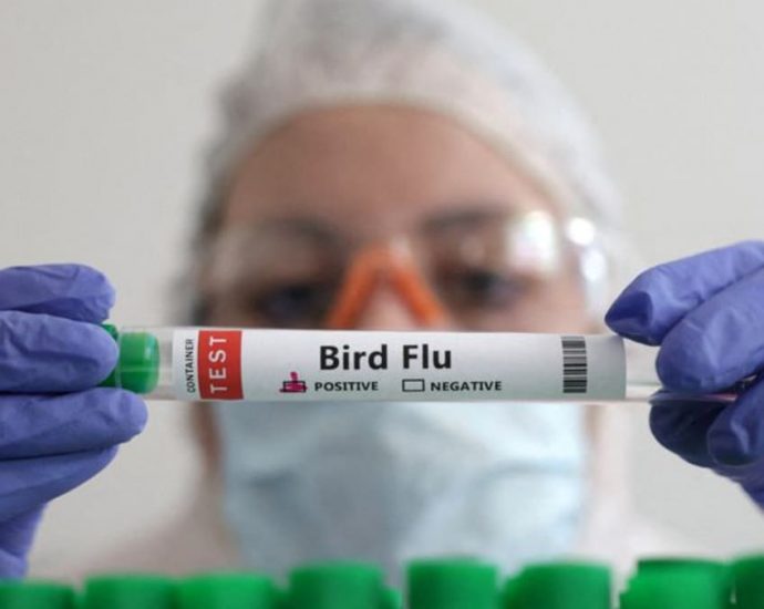 First H3N8 bird flu death recorded in China