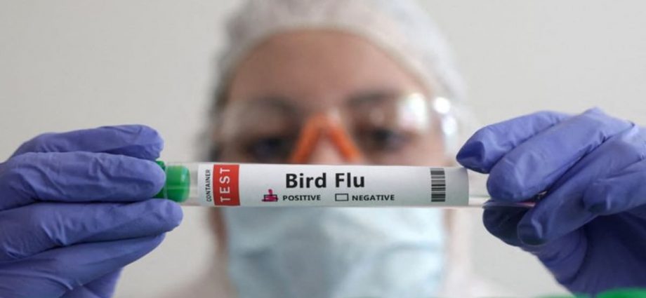 First H3N8 bird flu death recorded in China