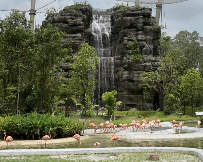 First look at Bird Paradise, Singapore’s new bird park in Mandai