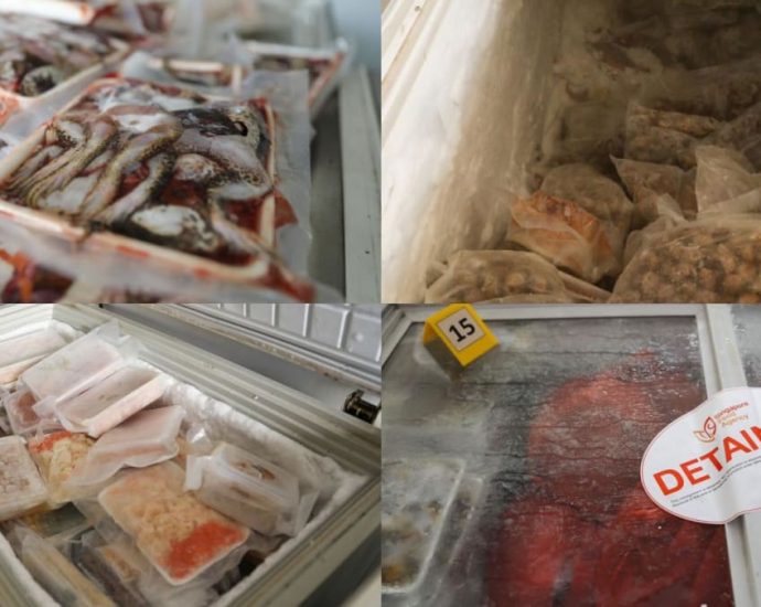 Frozen frog, beef and seafood among 2.2 tonnes of illegally imported food seized during SFA raid