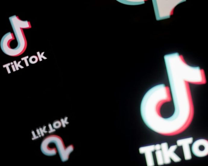 Initiatives in place to restrict inflammatory content ahead of state polls, says TikTok Malaysia