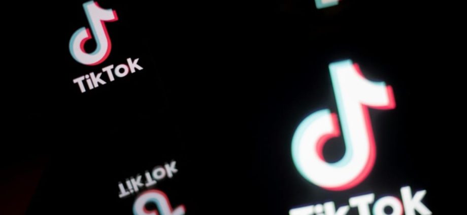 Initiatives in place to restrict inflammatory content ahead of state polls, says TikTok Malaysia