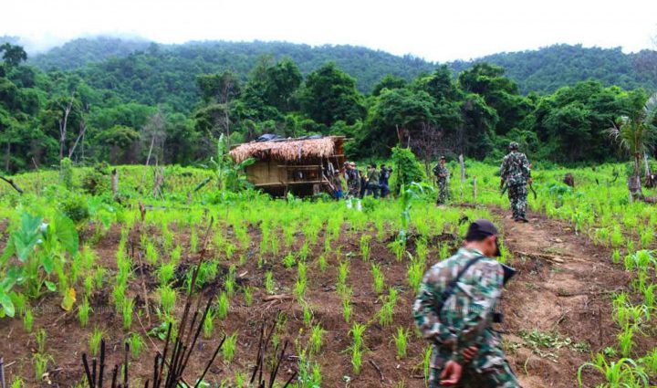 Karen villagers can return to forest, rules committee