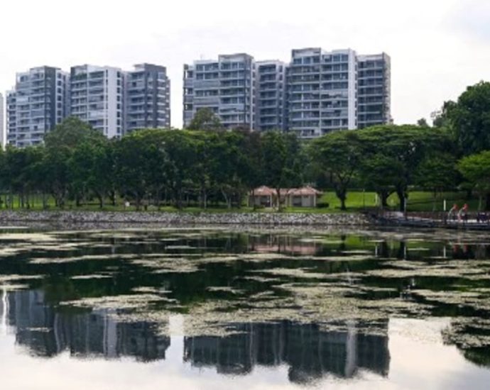 New cooling measures a ‘pre-emptive’ move to dampen investment demand for residential properties: Desmond Lee