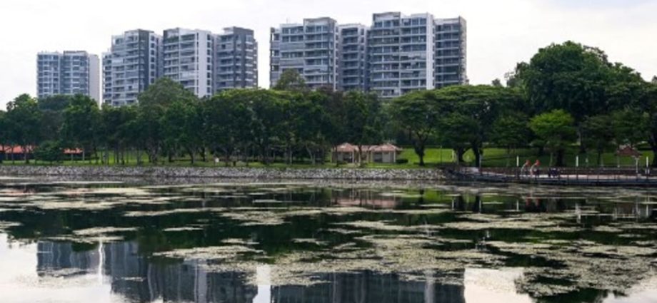 New cooling measures a 'pre-emptive' move to dampen investment demand for residential properties: Desmond Lee