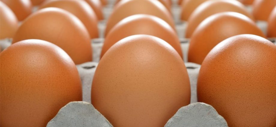 Singapore to start importing eggs from Indonesia