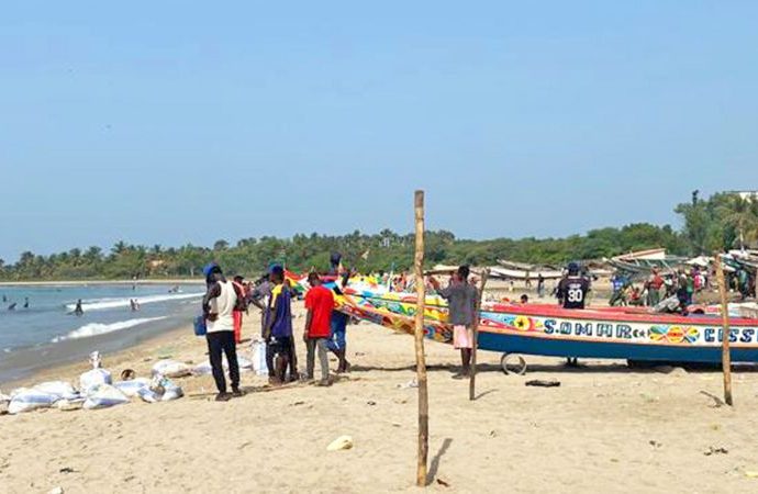 The fishy business of a Chinese factory in The Gambia