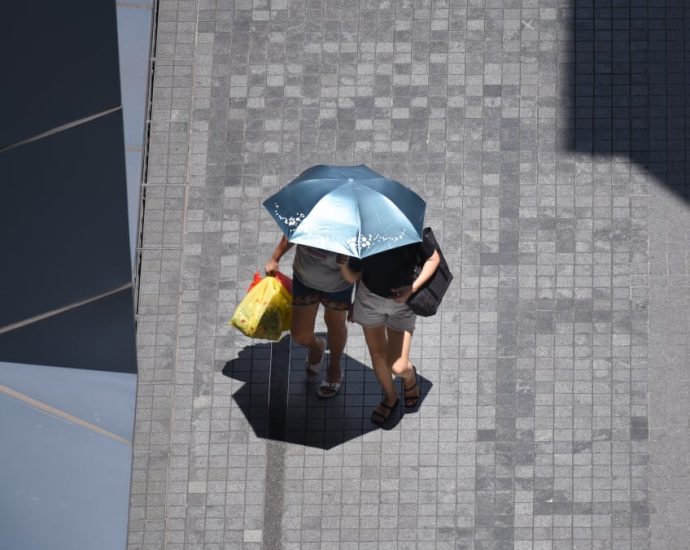 ‘Unlikely’ that temperatures in Singapore will reach 40°C in coming weeks: NEA
