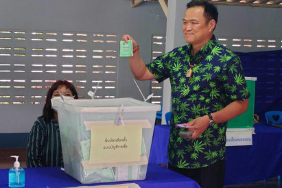 Anutin casts vote in marijuana-print shirt