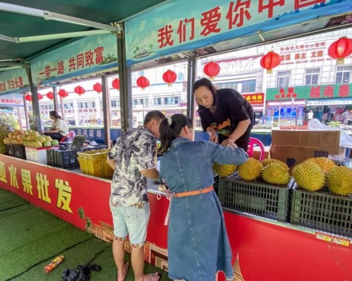 China’s Vietnamese durian imports seen pushing total demand for fruit to nearly 1 million tonnes a year