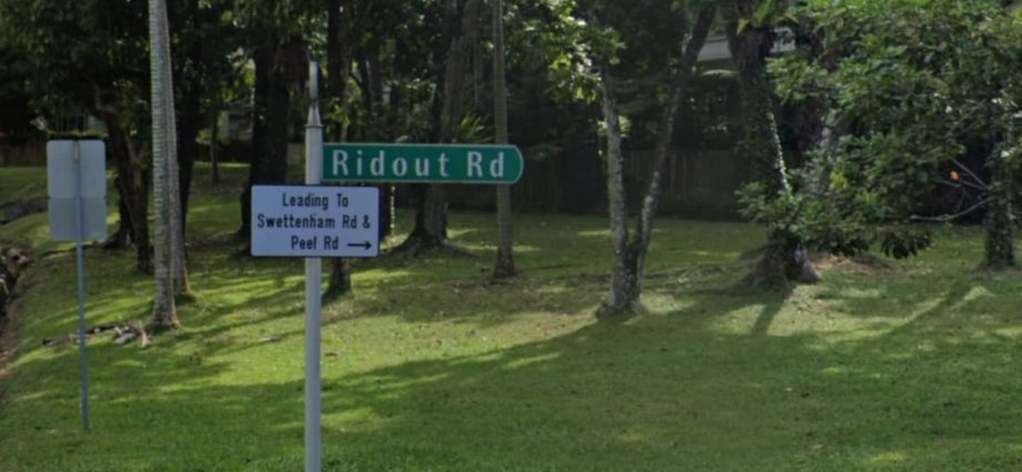 Shanmugam, Balakrishnan bid above 'guide rent' for Ridout Road state properties: SLA