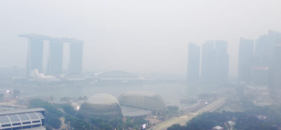 Singapore coordinating action plans amid higher haze risk