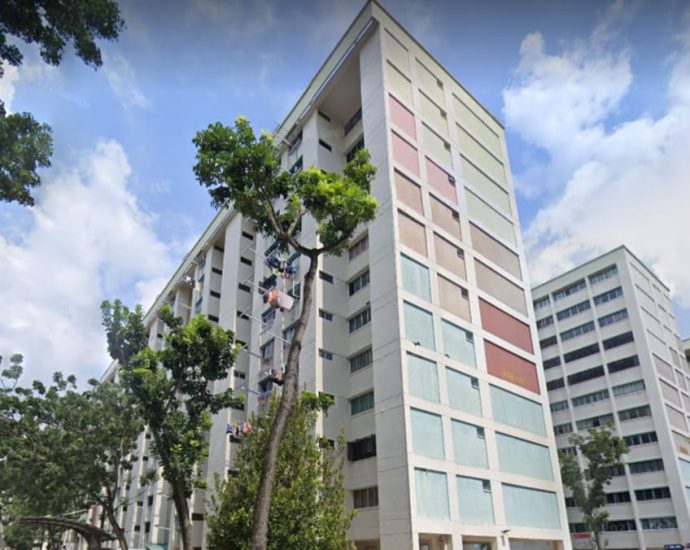 Sister of late taxi driver fails in court bid to get share of flat that went to his permanent resident wife