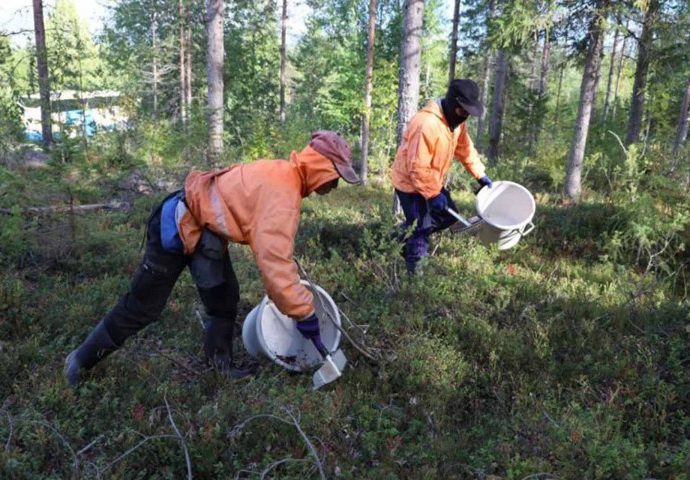 Thai, Nordic authorities agree on better deal for berry pickers