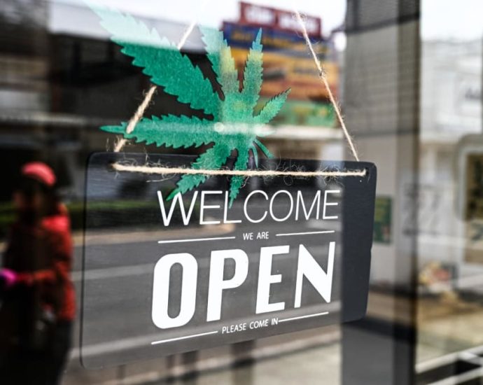 Thailand’s move to legalise cannabis emerges as election issue with some parties expressing concerns
