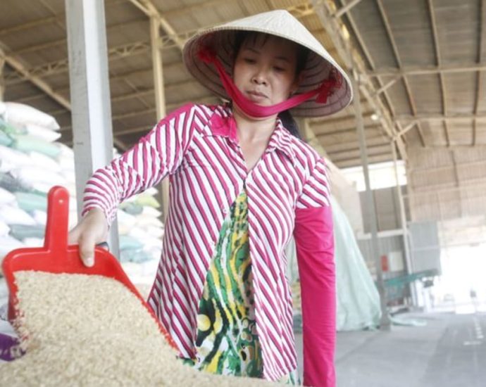 Vietnam to cut annual rice exports by 44% to 4 million tonnes by 2030