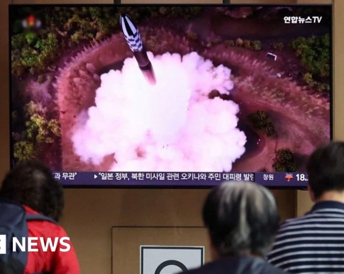 Watch: Air raid siren worries Seoul residents